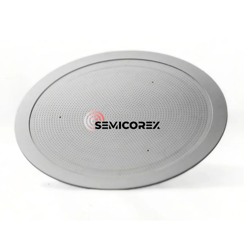 CVD SiC Duschmunstycken